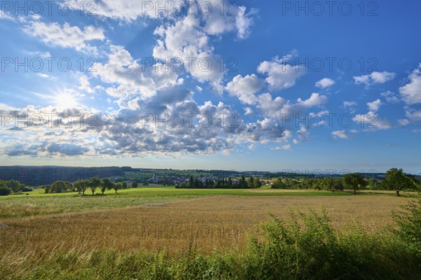 Morning sun over a wide, green field with scattered trees and clouds, Katzenbuckel, Waldbrunn, Neckar-Odenwald-Kreis, Odenwald, Baden-Württemberg, Germany