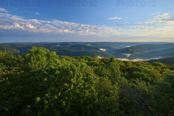 View over wooded and foggy hills under a clear sky, Katzenbuckel, Waldbrunn, Neckar-Odenwald-Kreis, Odenwald, Baden-Württemberg, Germany