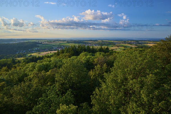 Wide landscape with forest and fields under a clear sky in daylight, Katzenbuckel, Waldbrunn, Neckar-Odenwald-Kreis, Odenwald, Baden-Württemberg, Germany