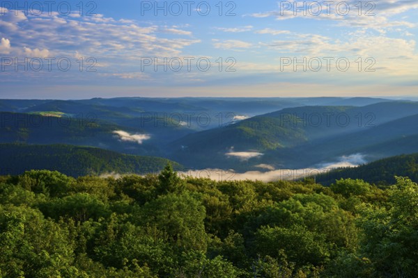 Green landscape with trees, light fog and peaceful blue sky, Katzenbuckel, Waldbrunn, Neckar-Odenwald-Kreis, Odenwald, Baden-Württemberg, Germany