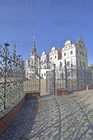 Johannbau built in 1556 Museum of City History, Renaissance, metal grating, metal fence, arts and crafts, ironwork, decorations, shadow, castle, Dessau, Dessau-Roßlau, Saxony-Anhalt, Germany