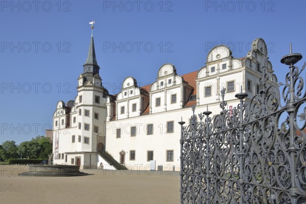 Johannbau built in 1556 Museum of City History, Renaissance, metal grating, metal fence, arts and crafts, ironwork, decorations, castle, Dessau, Dessau-Roßlau, Saxony-Anhalt, Germany
