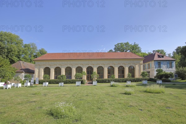 UNESCO Luisium, Orangery, Dessau-Wörlitz Garden Kingdom, Dessau, Dessau-Roßlau, Saxony-Anhalt, Germany