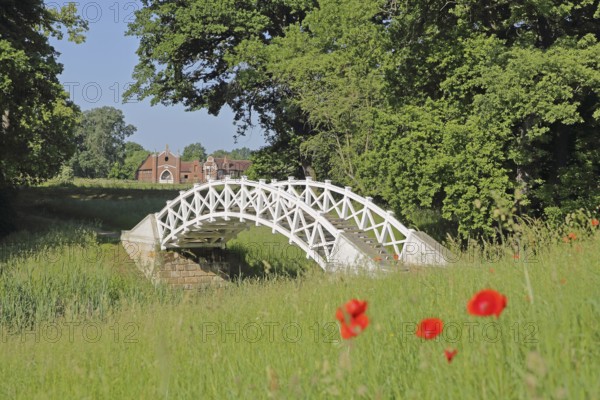 UNESCO Luisium, white arched bridge with poppies and neo-Gothic stud farm, idyll, Dessau-Wörlitz Garden Kingdom, Dessau, Dessau-Roßlau, Saxony-Anhalt, Germany