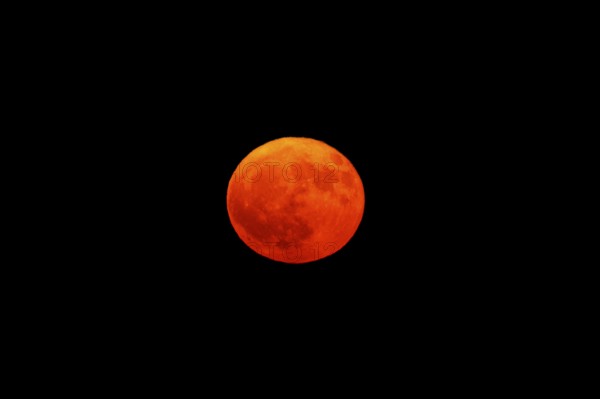 Bright red full moon in the dark sky, full moon, strawberry moon 2025, Vosges, France