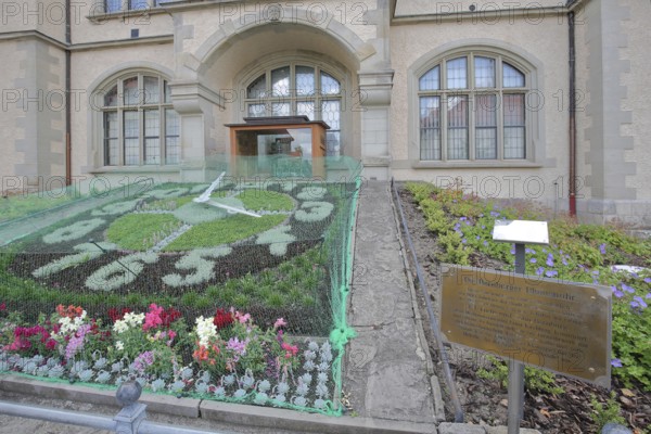 Flower clock made of blooming flower-bed with flower bed, clock face, garden art, information board with text, inscription, town hall, Bernburg, Saxony-Anhalt, Germany