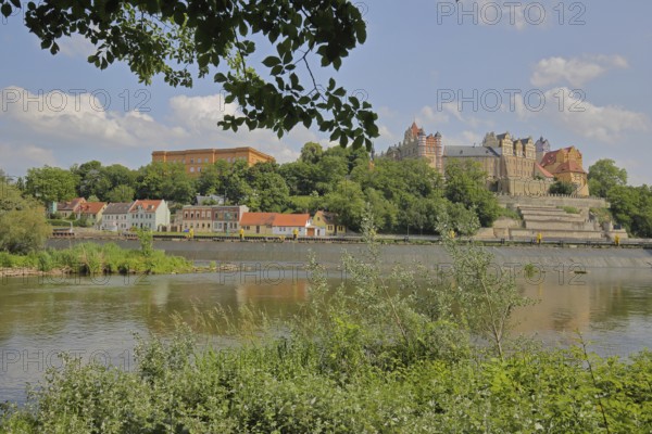 View of Carolinum castle and grammar school with river Saale, Renaissance, landmark, Saale valley, Bernburg, Saxony-Anhalt, Germany