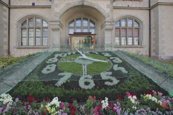 Flower clock made of blooming flower-bed with flower bed, garden art, clock face, information board with text, inscription, town hall, Bernburg, Saxony-Anhalt, Germany