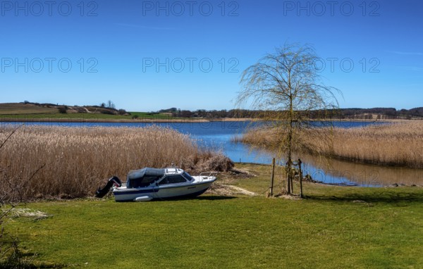 Landscape at Lake Neuensien, Seedorf, Rügen, Mecklenburg-Western Pomerania, Germany