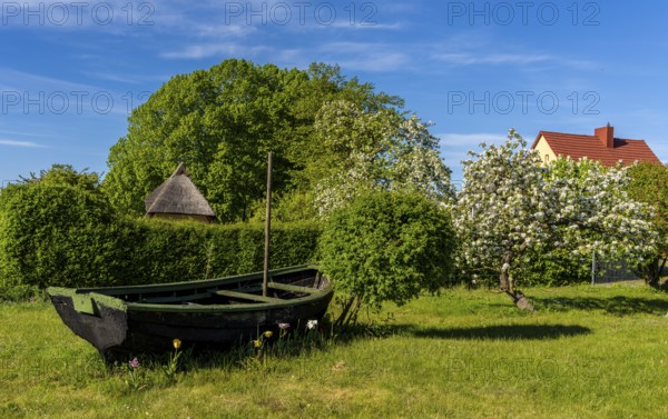 Garden decoration with an old wooden barge, Seedorf, Rügen, Mecklenburg-Western Pomerania, Germany