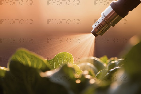 Pesticide sprayer aimed at fresh garden vegetables. A visual commentary on chemical use in agriculture and food safety. Generative ai, AI generated