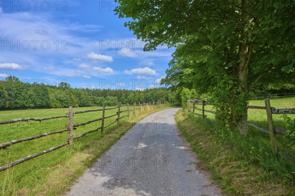 A quiet country lane runs between wooden fences, surrounded by green countryside under a bright blue sky, Mülben, Waldbrunn, Neckar-Odenwald-Kreis, Odenwald, Baden-Württemberg, Germany