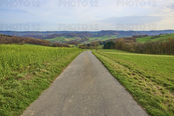 Asphalted path leads through green fields in a hilly landscape, Winterkasten, Lindenfels, Bergstrasse district, Odenwald, Hesse, Germany