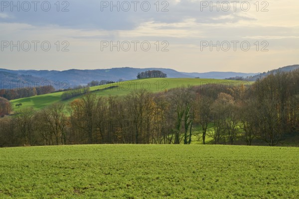 Hilly landscape with green fields and trees under a cloudy sky, Winterkasten, Lindenfels, Bergstrasse district, Odenwald, Hesse, Germany