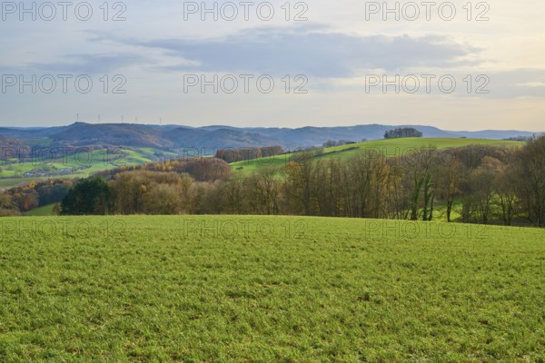 Hilly green landscape with trees and wind turbines on the horizon, Winterkasten, Lindenfels, Bergstrasse district, Odenwald, Hesse, Germany