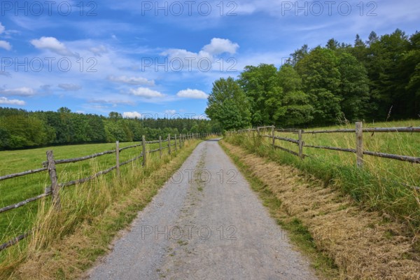 Straight country lane flanked by meadows and wooden fences, leading into a dense tree line under a blue sky, Mülben, Waldbrunn, Neckar-Odenwald-Kreis, Odenwald, Baden-Württemberg, Germany