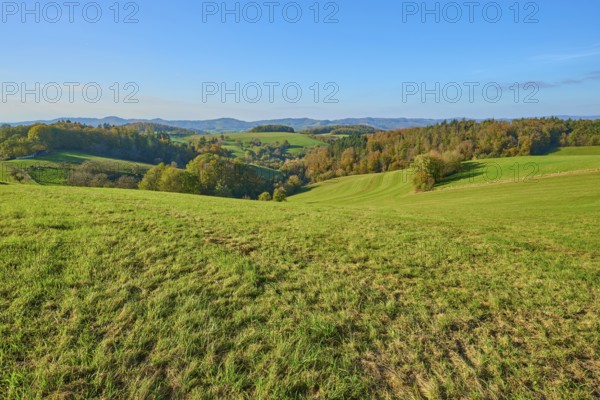 Wide green hills and meadows that create a quiet and rural atmosphere, Vöckelsbach, Mörlenbach, Bergstrasse district, Odenwald, Hesse, Germany