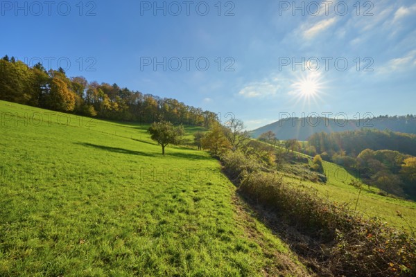 Bright green hills under a radiant sun and clear sky, Vöckelsbach, Mörlenbach, Bergstrasse district, Odenwald, Hesse, Germany