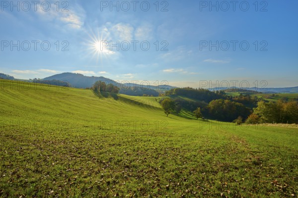 Wide green meadows under a bright sun and clear sky for a natural, peaceful atmosphere, Vöckelsbach, Mörlenbach, Bergstrasse district, Odenwald, Hesse, Germany