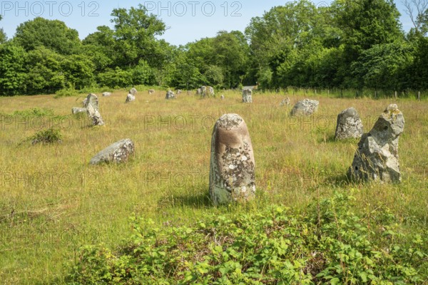 Stones in the shape of a ship in the Ängakåsen burial field from the Bronze Age in Kivik, Simrishamn municipality, Skåne county, Sweden, Scandinavia