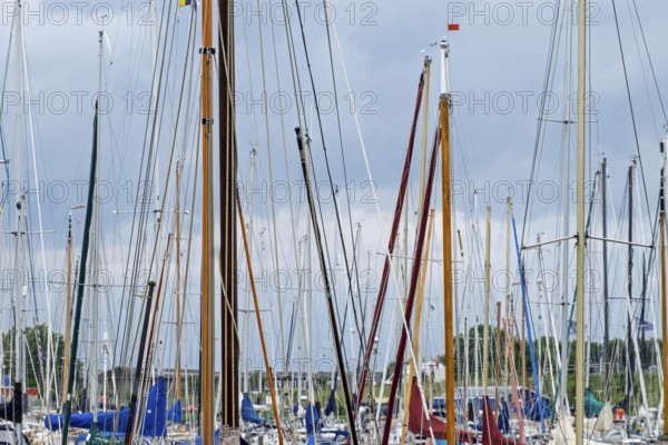 Ship masts in Noordergat marina, Netherlands
