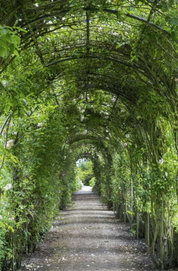 Borg Verhildersum, pergola in the garden, Leens, province of Groningen, Netherlands