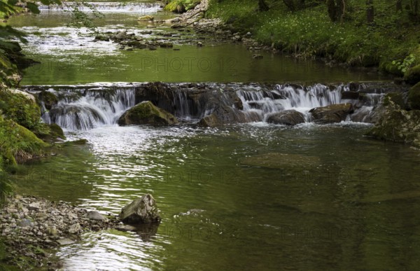 Small waterfall, Wangauer Ache flows through a forest, Mondseeland, Salzkammergut, Upper Austria, Austria