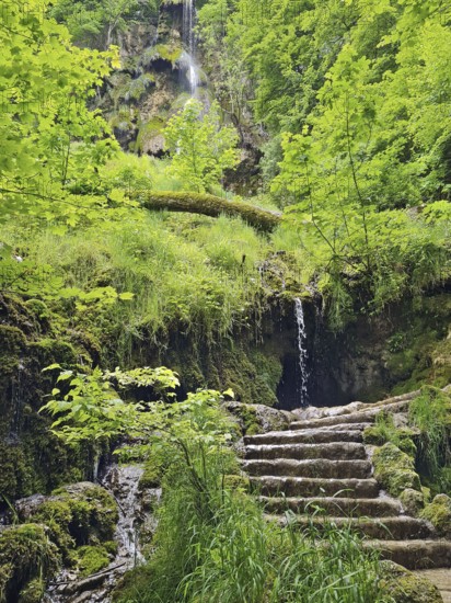 The Urach waterfall flows down moss-covered steps into a lush, green forest, Bad Urach