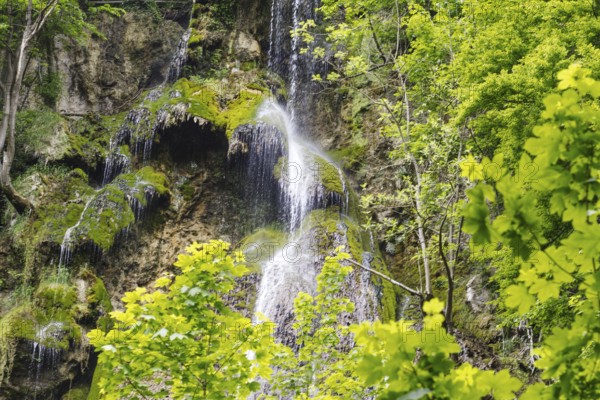 The Urach waterfall flows over moss-covered rocks, surrounded by green leaves, Bad Urach
