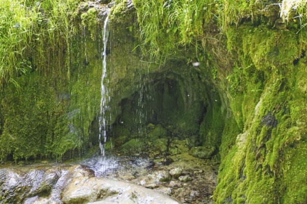 Partial view of the Urach waterfall flowing over lush moss, Bad Urach