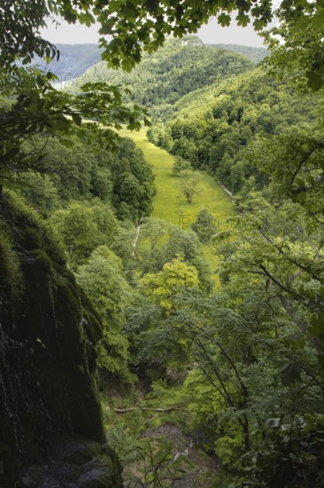 View of a green valley (Maisental) surrounded by dense forests and rolling hills, Bad Urach