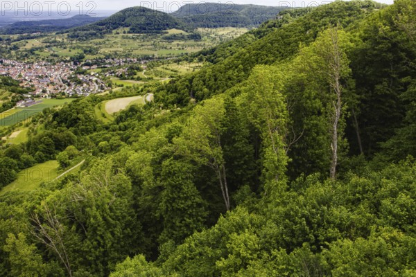 View from the top of the Reußenstein castle ruins over wooded hills and the Neidlingen valley, Neidlingen