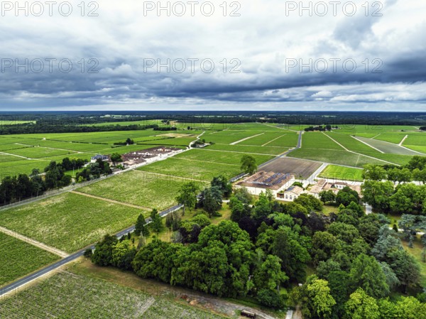 Chateau d'Armailhac Vineyard and grape fields around Pauillac and Gironde Estuary from a drone, Bordeaux, Gironde, Nouvelle-Aquitaine, France