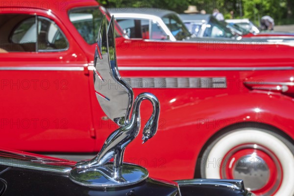 Grosse Pointe Shores, Michigan - The hood ornament of a 1937 Packard Twelve 1508 Rollston was on display for the media preview of the annual Eyes on Design auto show
