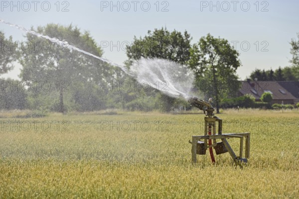 Water shortage... Sprinkler wagon waters a grain field in midsummer, drought, field irrigation, irrigation, Lower Rhine, Rhine district Neuss, North Rhine-Westphalia, Germany