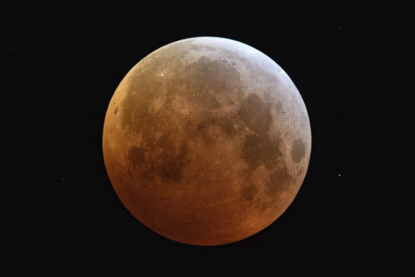 Blood moon (lunar eclipse), orange moon on 21 January 2019, 04:10 a.m., entry of the supermoon into the Earth's umbra, North Rhine-Westphalia, Germany, Meerbusch, Düsseldorf Niederrhe, North Rhine-Westphalia, Germany