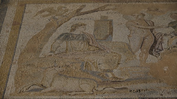 Ancient mosaic with a female figure and others in a scene under a tree, The Choice of Paris, Archaeological Site, Western Excavation, Kos Town, Kos, Dodecanese, Greek Islands, Greece