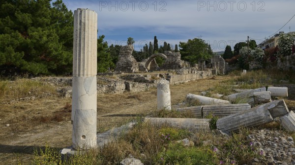 Roman or Greek ruins with scattered ancient columns in a landscape, Hall of Columns Xysto, Gymnasio, Archaeological Site, Western Excavation, Kos Town, Kos, Dodecanese, Greek Islands, Greece