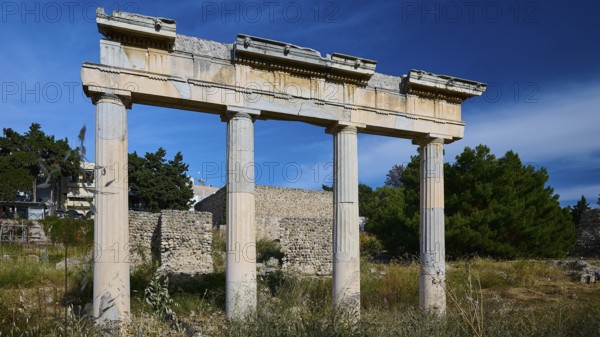 Ancient column ruins under a blue sky in a historic landscape, Archaeological site, Xysto Columned Hall, Gymnasio, Western Excavation, Kos Town, Kos, Dodecanese, Greek Islands, Greece