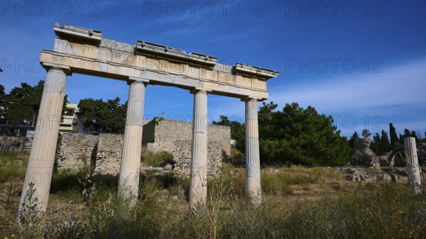Ruins of an ancient temple with columns in a natural setting, Archaeological site, Xysto Columned Hall, Gymnasio, Western Excavation, Kos Town, Kos, Dodecanese, Greek Islands, Greece