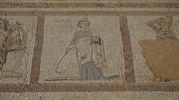 Ancient mosaic of a standing figure with draped robe, Archaeological Site, Western Excavation, Kos Town, Kos, Dodecanese, Greek Islands, Greece
