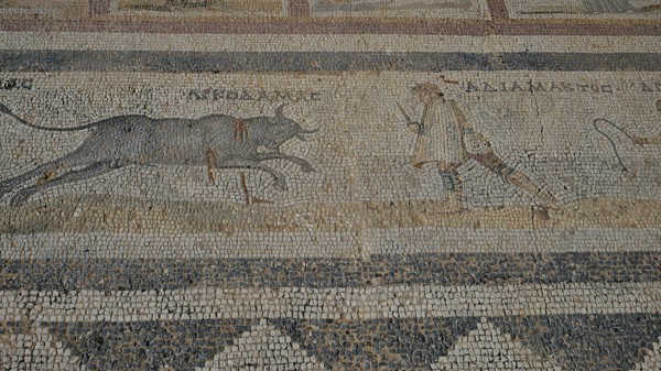 Ancient mosaic depicting a man approaching a charging bull, Archaeological Site, Western Excavation, Kos Town, Kos, Dodecanese, Greek Islands, Greece