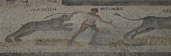 Mosaic from antiquity showing a man fighting two lions, Archaeological Site, Western Excavation, Kos Town, Kos, Dodecanese, Greek Islands, Greece