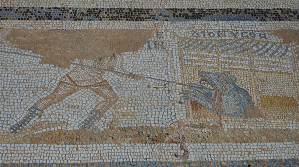 Ancient mosaic showing a warrior fighting an animal, Archaeological Site, Western Excavation, Kos Town, Kos, Dodecanese, Greek Islands, Greece