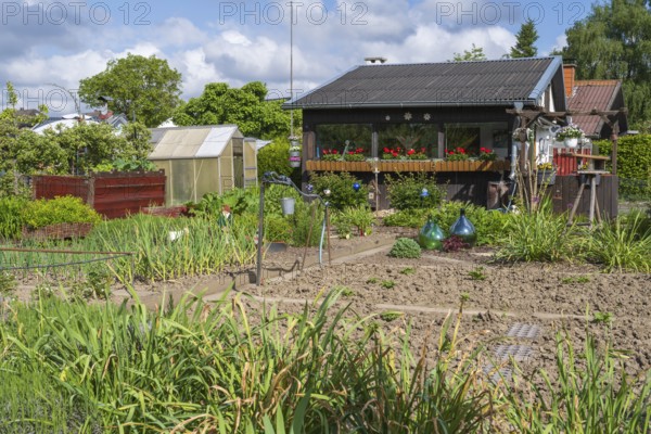 Garden shed with flower boxes in allotment garden, allotment garden, greenhouse, garden, spring, Kamen, Ruhr area, North Rhine-Westphalia, Germany
