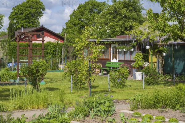 Garden house in allotment garden, allotment garden, spring, garden, Kamen, Ruhr area, North Rhine-Westphalia, Germany