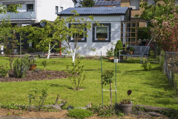 Garden house in allotment garden, allotment garden, spring, garden, Kamen, North Rhine-Westphalia, Germany