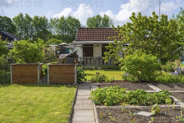 Raised beds and planting beds in front of garden shed, allotment, allotment garden, garden, Kamen, North Rhine-Westphalia, Germany