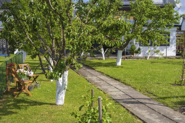 Meadow with fruit trees, garden house, allotment, allotment garden, garden, spring, Kamen, North Rhine-Westphalia, Germany