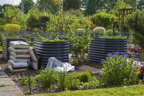 Raised beds in the allotment garden, allotment garden, garden, spring, Kamen, North Rhine-Westphalia, Germany